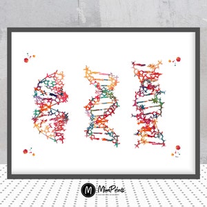 DNA Strand Structures Watercolor Print Dna Conformation A, B-form and Z-form Genetic Art Poster Biology Art Spiraling Dna Genetic Wall Art