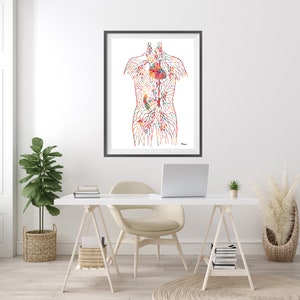 May include: A colorful anatomical illustration of the human circulatory system, showing the heart, arteries, and veins. The illustration is framed and displayed on a white wall above a desk.