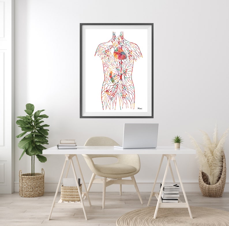 May include: A colorful anatomical illustration of the human circulatory system, showing the heart, arteries, and veins. The illustration is framed and displayed on a white wall above a desk.