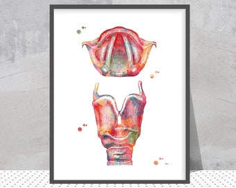 Larynx Watercolor Print | Respiratory System Art | ENT Clinic Decor