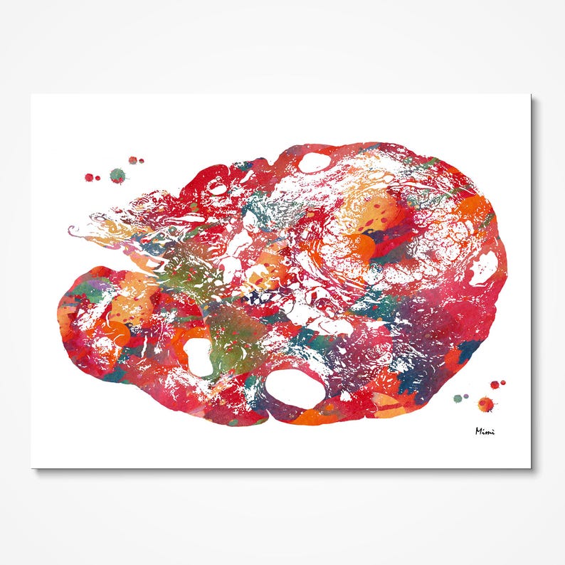 Ovary Watercolor Print | OB-GYN Art | Gynecology Practice Decor image 3