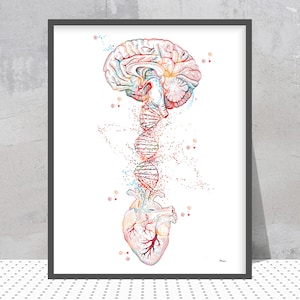 Brain Heart Print Abstract Science Art DNA Brain Heart Watercolor Print Genetics Print Biology Lab Art Heart and Brain Inspirational Art