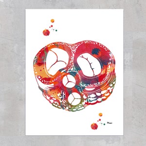 May include: A watercolor painting of a cross-section of a human heart. The heart is depicted in shades of red, orange, yellow, and green. The painting is on a white background with a few small splashes of color.