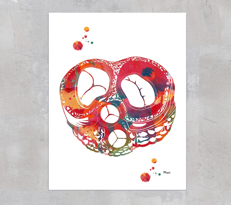 May include: A watercolor painting of a cross-section of a human heart. The heart is depicted in shades of red, orange, yellow, and green. The painting is on a white background with a few small splashes of color.