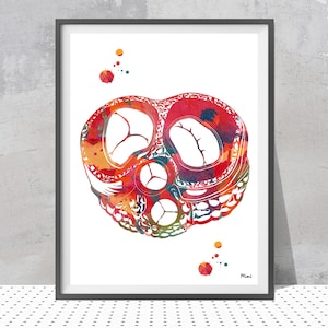 Heart Valves Watercolor Print Anatomy Art Poster Human Heart Print Pulmonary Aortic Tricuspid Mitral Valve Medical Art Illustration art gift
