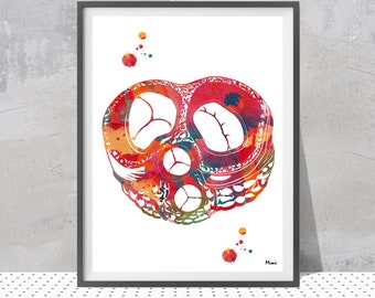 Heart Valves Watercolor Print | Cardiology Art | Cardio Clinic Decor | Cardiologist Gift