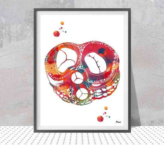 Heart Valves Watercolor Print Anatomy Art Poster Human Heart Print Pulmonary Aortic Tricuspid Mitral Valve Medical Art Illustration art gift