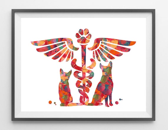 veterinary clinic symbol watercolor