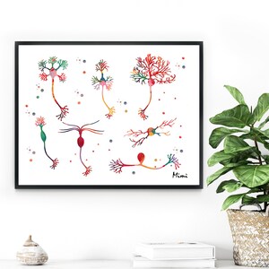 Neuron Types Print Neurons Watercolor Brain Cells Science Poster ...