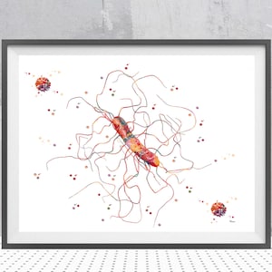 Clostridium Science Print Clostridium Difficile Biology Watercolor Bacteria Art Clostridium D. Poster Biology Lab Wall Decor Science Art