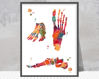 Foot Bones Watercolor Print | Anatomy Art | Orthopedic Clinic Decor | Gift for Doctor