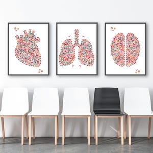 Anatomy Prints Set Of 3 Medical Clinic Decor Discounted Set Heart, Lungs, Brain Posters Gift For Doctors 3 Colorful Abstract Anatomy Posters
