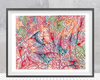 Nervenzellen Anatomie Druck Gehirn Kunst Aquarell Neurologie Malerei Bunt Ramon Cajal Neuronen Tribut Poster Anatomie Kunst Geschenk