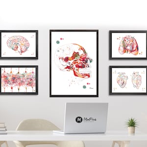 Trigeminal Nerve Anatomy Print Cranial Nerves Watercolor Print Maxillary Nerves Painting Dental Art Neurology Art Anatomy Art Gift image 6