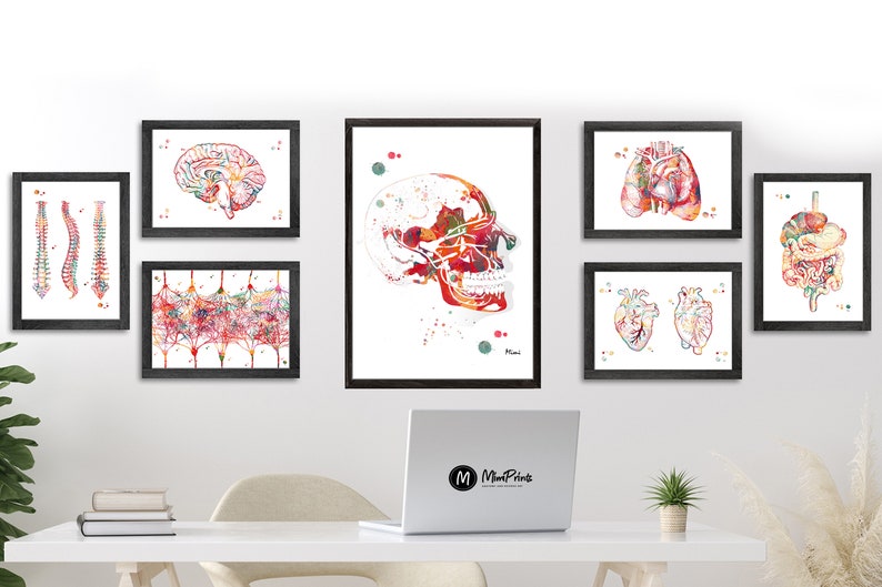 Trigeminal Nerve Anatomy Print Cranial Nerves Watercolor Print Maxillary Nerves Painting Dental Art Neurology Art Anatomy Art Gift image 6