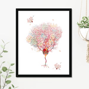 Purkinje Neuron Watercolor Print Brain Art Neuroscience Purkinje Cell ...