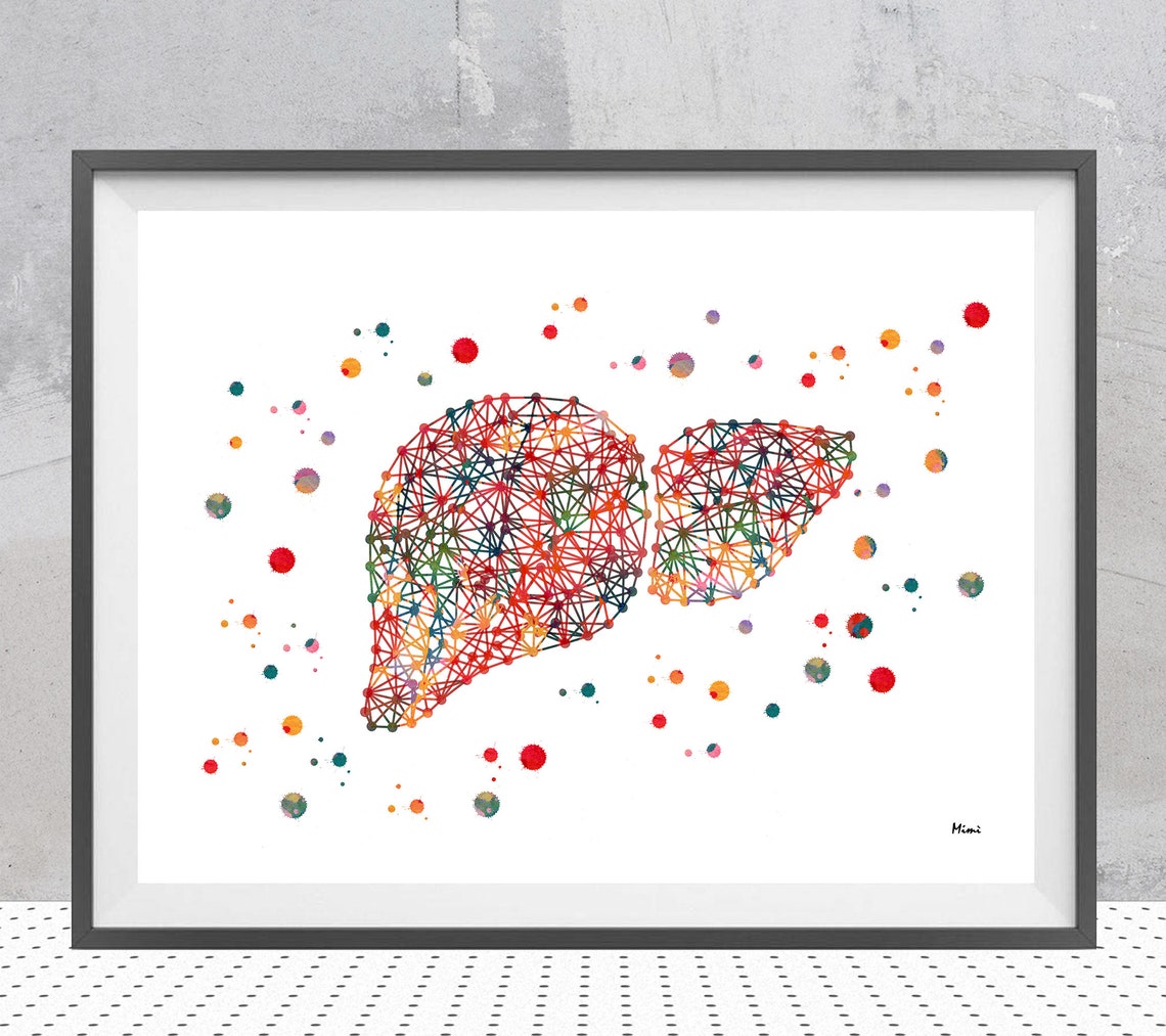 Abstract Liver Watercolor Print | GI Art | Medical Practice Decor - Etsy