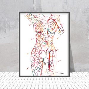 Plastische Chirurgie Rekonstruktion Druck Anatomie Kunst Blutversorgung der Haut Poster Weiblichen Körper Perforator Lappen Karte DIEP Surgery