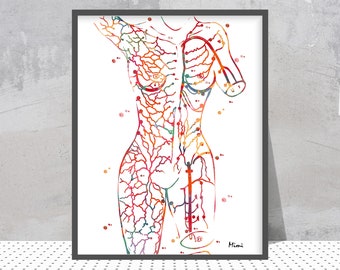 Perforator Flaps Watercolor Map | Surgery Art Print | Plastic Surgery Clinic Decor