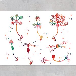 Neuron Types Print Neurons Watercolor Brain Cells Science Poster ...