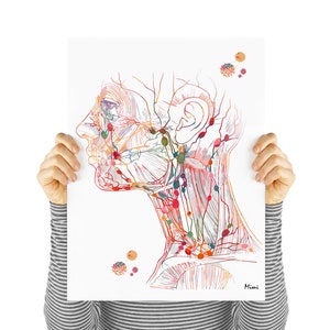 May include: A colorful anatomical illustration of the head and neck, showing the intricate network of nerves and blood vessels. The illustration is done in a watercolor style with shades of red, orange, yellow, green, blue, and purple.