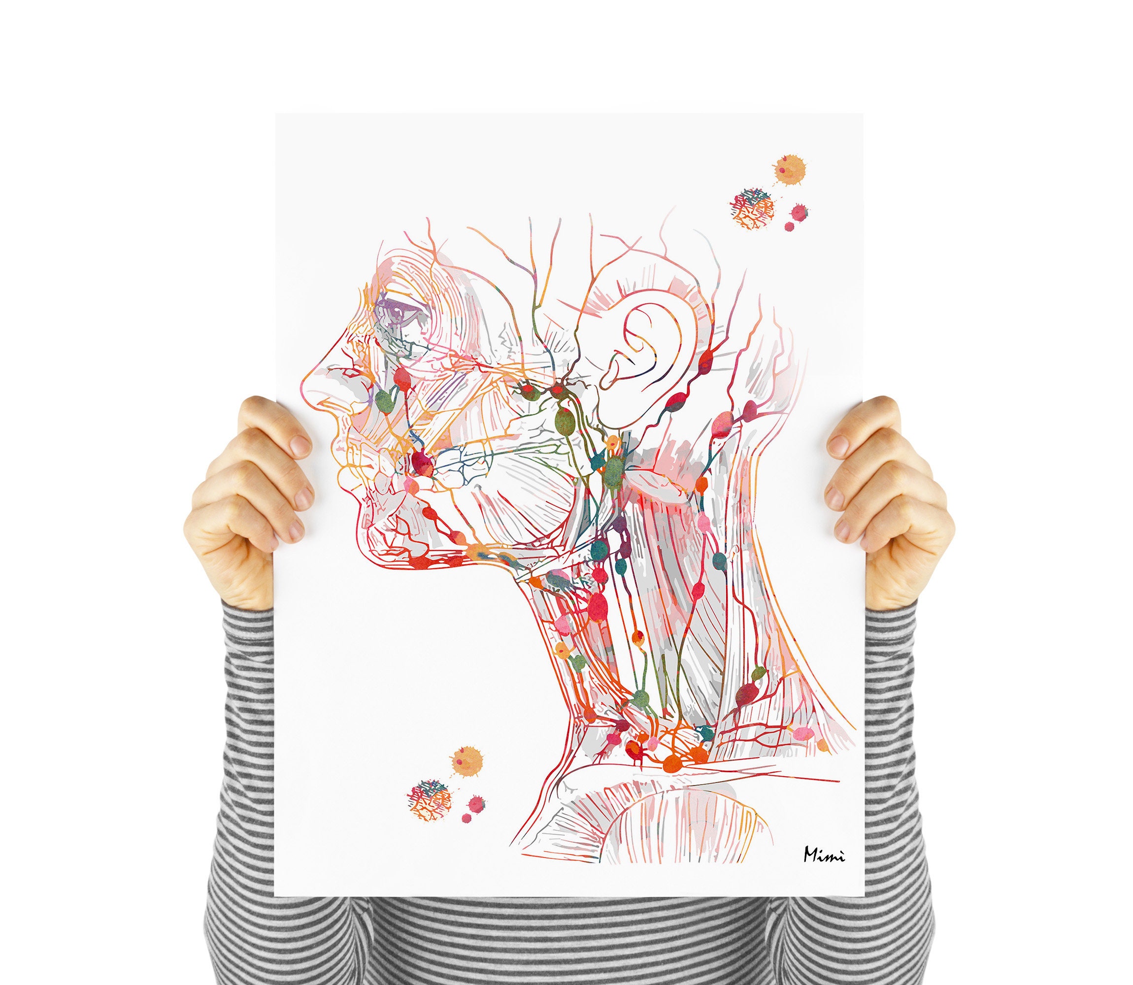 Head Lymph Nodes Print | Endocrinology Art | Lymphatic System ...