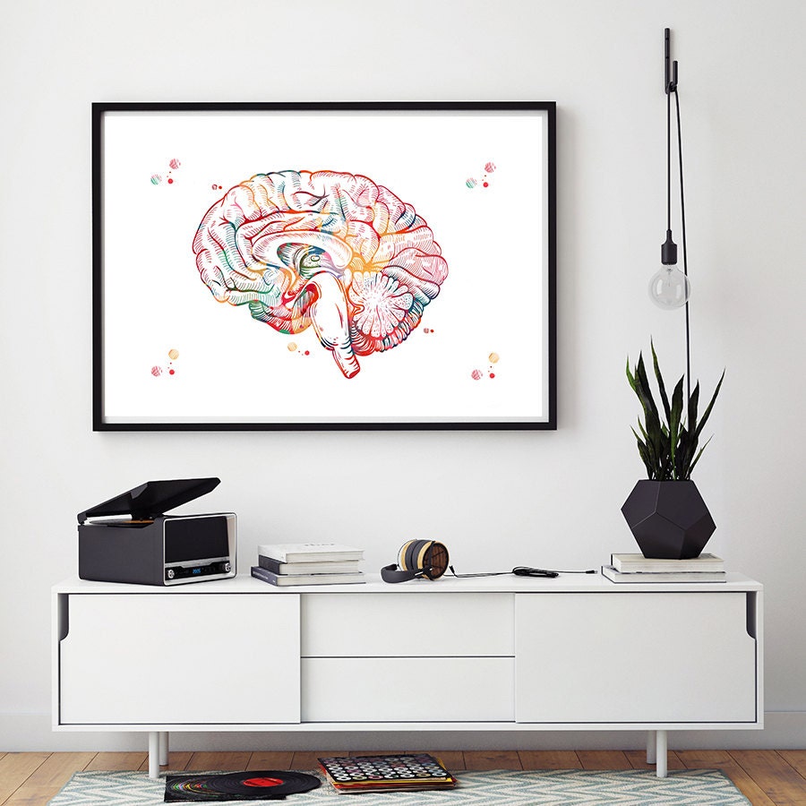 Neuroanatomy Art Print Brain Anatomy Cross Section -  Norway