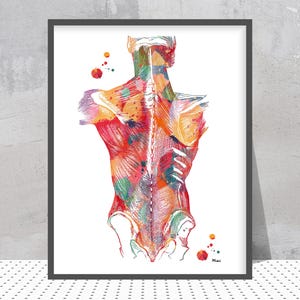 Op de afbeelding: Een ingelijste aquarelprint van de menselijke rug, met spieren en wervelkolom. De anatomische illustratie gebruikt een kleurrijk palet van rood, oranje, geel, groen en paars. De print wordt gepresenteerd in een zwarte lijst.