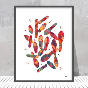 May include: Abstract watercolor painting of colorful chromosomes. The chromosomes are in various shades of red, orange, yellow, green, and blue. The background is white.