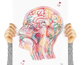 アート・デザイン・音楽 The Color Atlas of Oral Rehabilitation Color Atlas of Brainstem Surgery: 9781626230279: Medicine