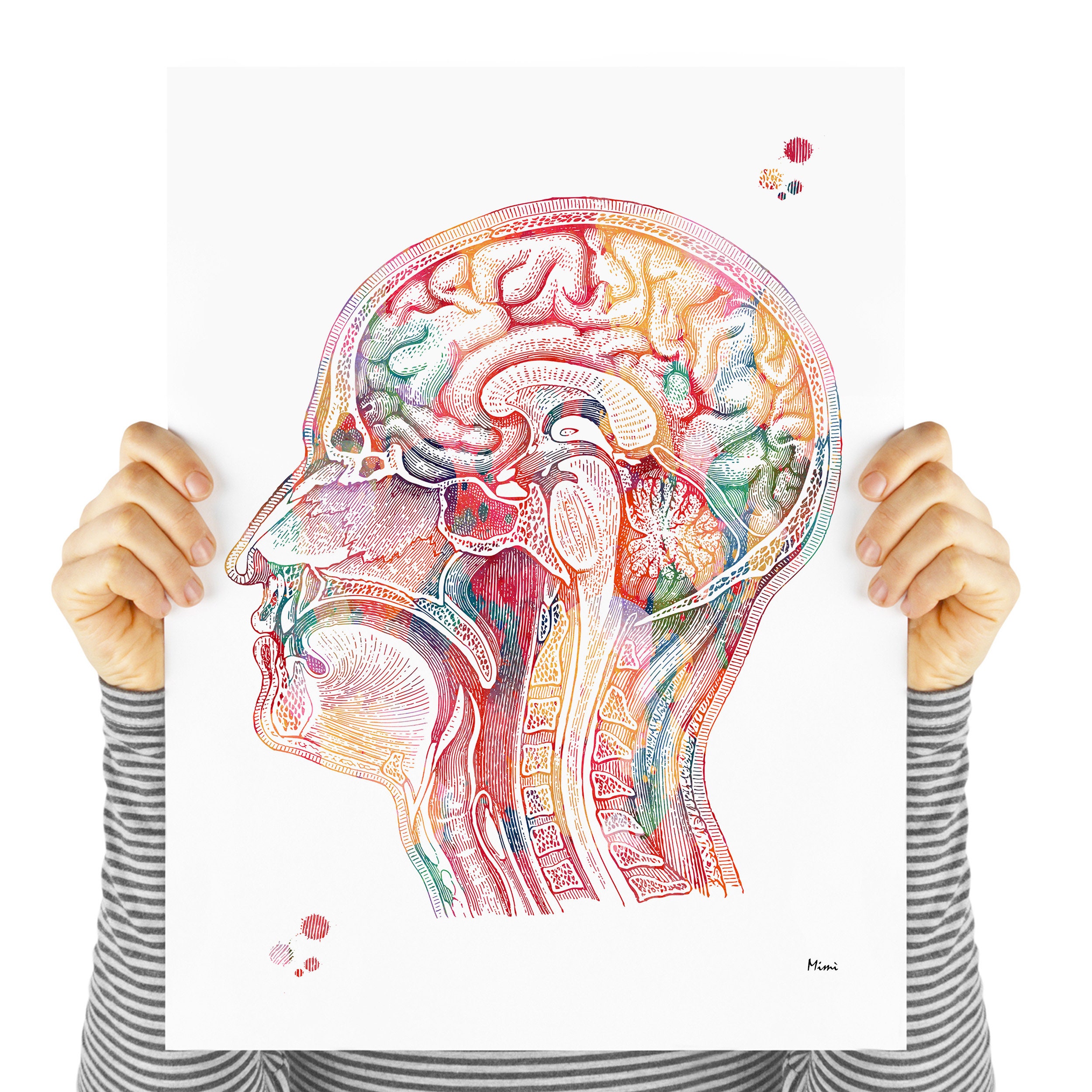 アート・デザイン・音楽 Masterpieces of Medical Photography アート・デザイン・音楽 Masterpieces of Medical Photography