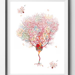 Purkinje Neuron Watercolor Print | Neuroscience Art for Clinics | Gift ...