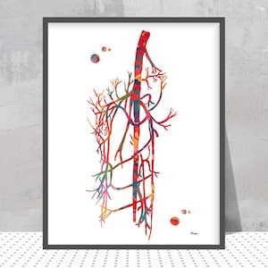 Anatomy Print Saphenous Vein External Iliac Femoral Artery Watercolor Angiology Poster Abstract Anatomy Painting Varicectomy Illustration