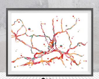 Dopamine Neurons Connection Print Dopaminergic Receptors Watercolor Dopamine System Dopaminergic Pathways and Basal Ganglia Neurology  Print