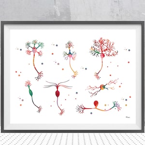 Neuron Types Print Neurons Watercolor Brain Cells Science Poster Neurons Synapses Illustration Sensory Neurons Print Neurology Wall Art Gift