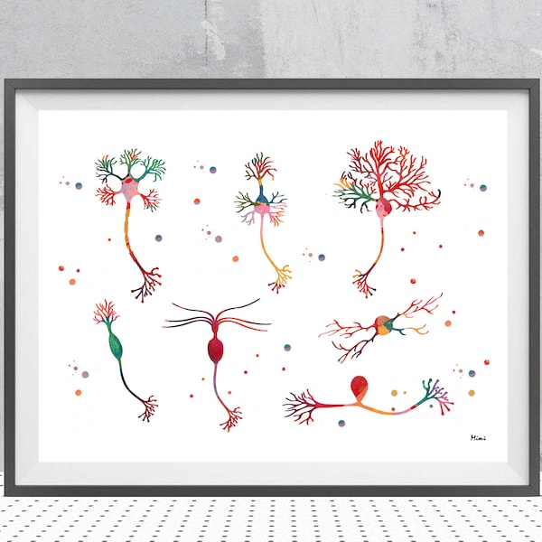 Neuron cells Types Watercolor print brain cells Science print Neurons Synapses illustration science poster nerve cells wall decor art gift