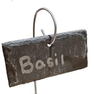 May include: A black slate plant marker with a metal ring and the word "Basil" written in white chalk.