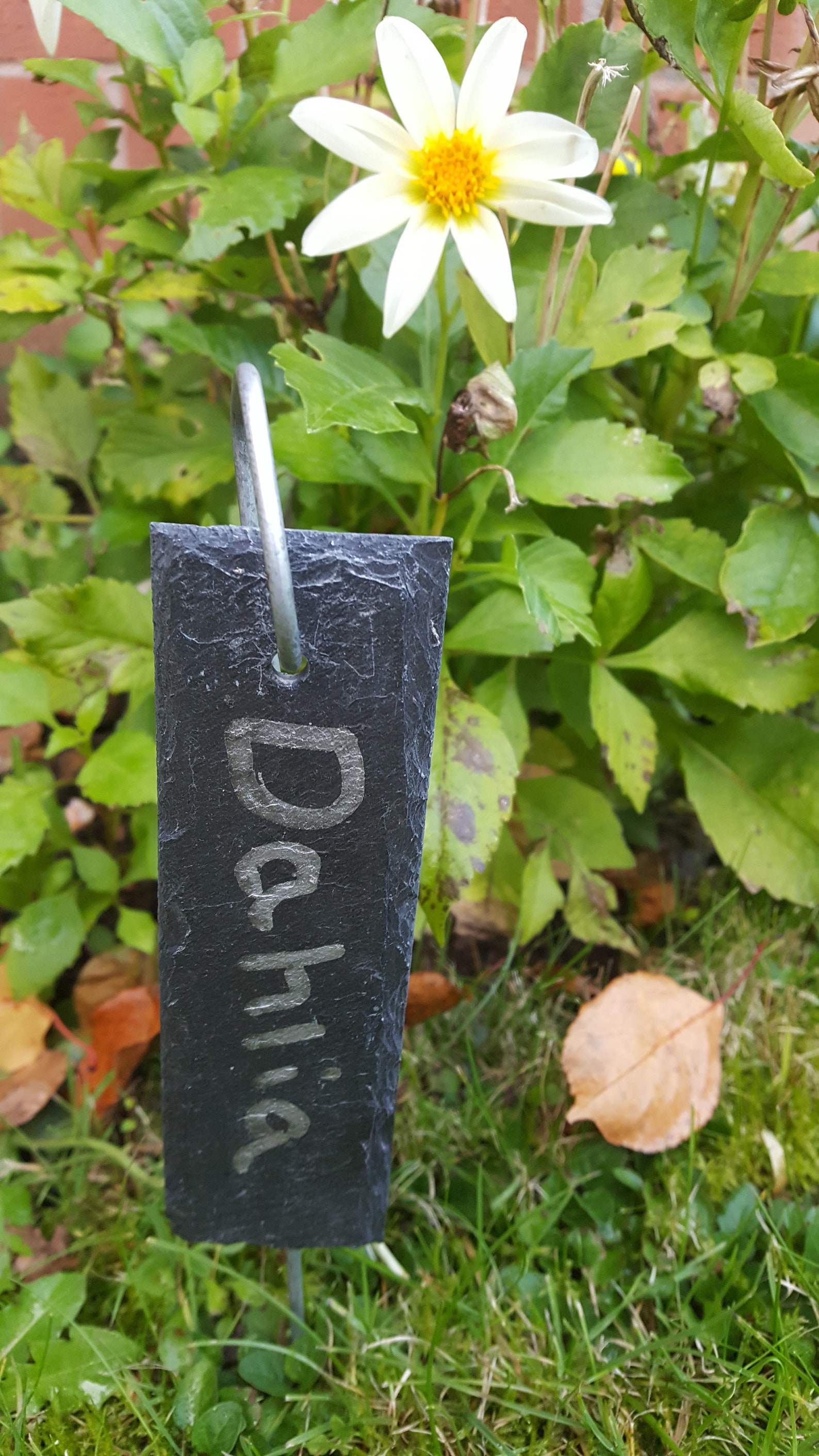 Slate Hanging Plant Labels Tags Plant Markers Garden Etsy