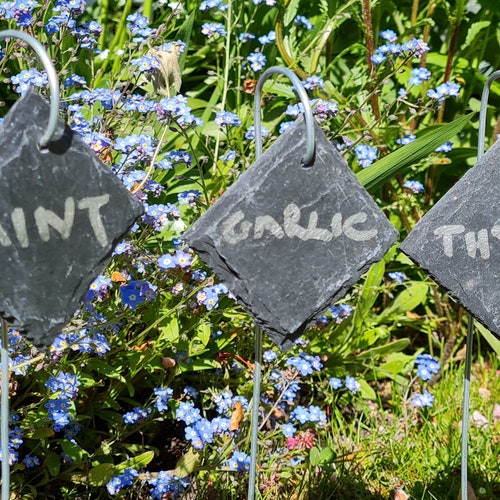 Slate Hanging Plant Labels Tags Plant Markers Garden Greenhouse