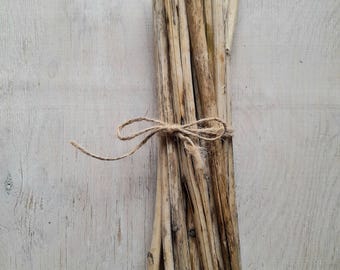 Dried stalk sticks 10" 25 pcs natural rudbeckia stems for craft and decor