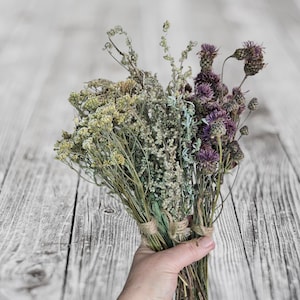 Peut inclure: Un bouquet de fleurs séchées, aux teintes vertes, jaunes et violettes, est tenu par une main. Les tiges sont liées avec de la ficelle, créant une esthétique rustique et naturelle. Fond en bois gris clair.