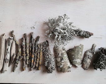 Twigs and bark with lichen for craft, Rustic supplies, Gray and brown floral rustic eco raw supplies, natural home decor, woodland photoprop