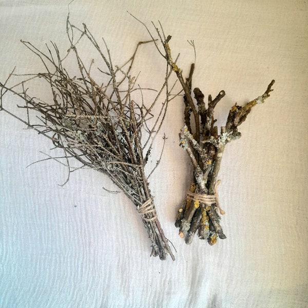 Decorative twigs set for decor and craft, rustic natural craft supplies