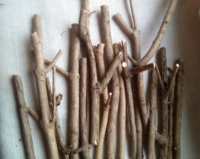 Natural Branches for Craft, Cut Branches, Wooden Sticks, Grey Branches
