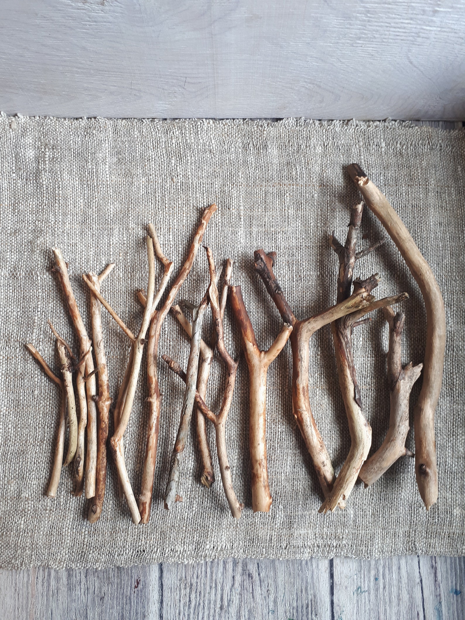 Natural Dried Branches for Craft Cut Branches Set of 15 Etsy India