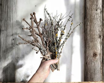 Natural vase filler,Decorative twigs set for decor and craft, rustic natural craft supplies