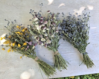 Wildflower Dried Bouquet Set of 3 – Natural Forget Me Nots, Daisies & Buttercups – Rustic Cottage Decor – Pressed Flower set
