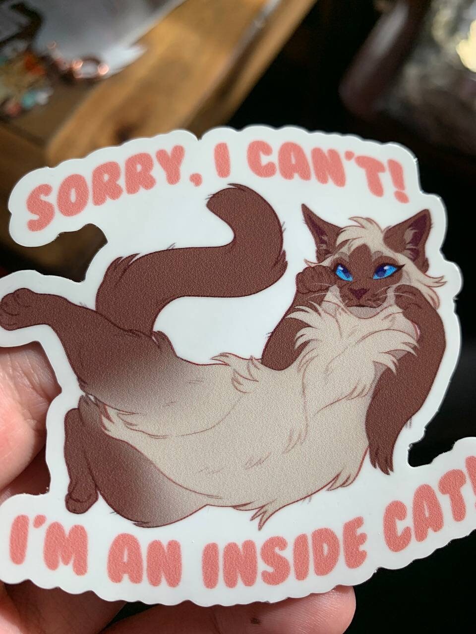 Inside Cat Sticker - Etsy