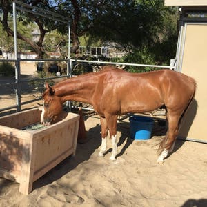 INSTRUCTIONS ONLY / Slow Feeder / Slow Grazer / Horse Hay Feeder INSTRUCTIONS only