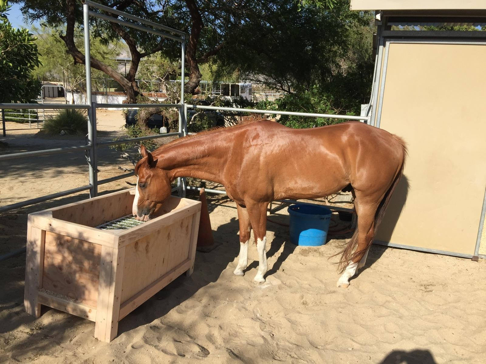 INSTRUCTIONS ONLY / Slow Feeder / Slow Grazer / Horse Hay Feeder